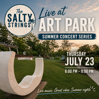 The Salty Strings Live at Art Park