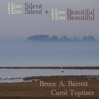 How Silent And How Beautiful by Bruce A. Barrett