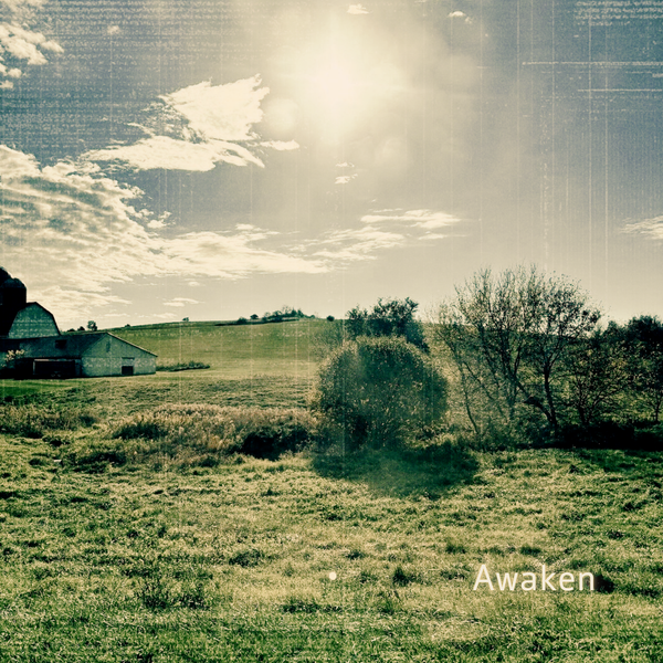 Awaken - Vinyl