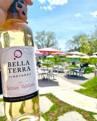  Bella Terra Presents  Ray Timmerman