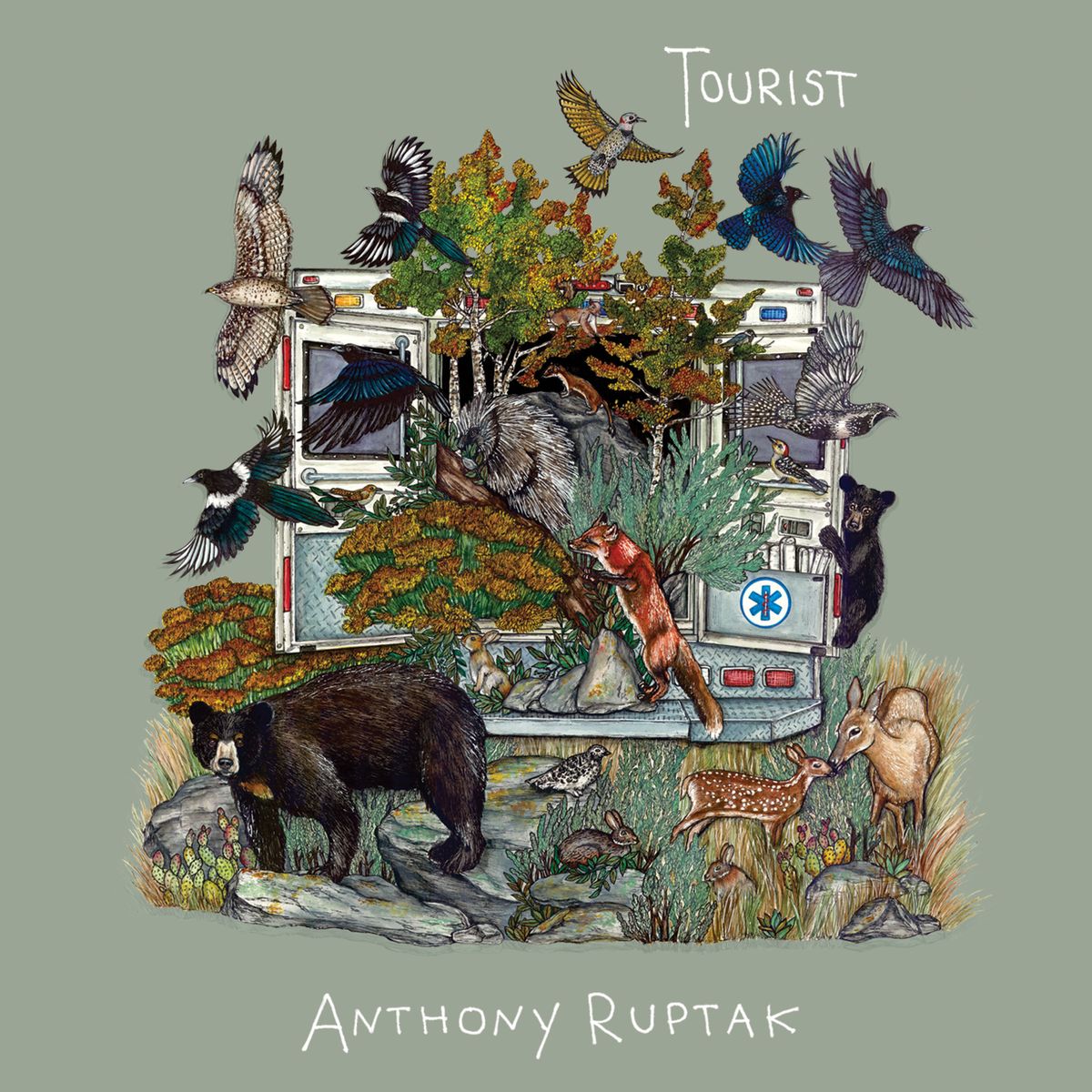 Tourist