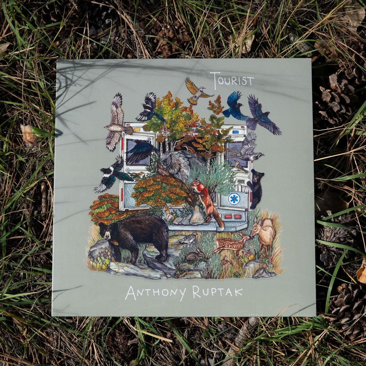 Tourist - Vinyl (Standard) LP