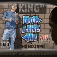 Not Like Me by JR