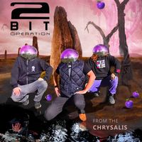 From The Chrysalis by 2-Bit Operation
