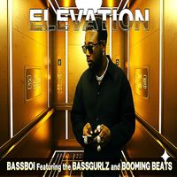 Elevation by Bassboi ent.