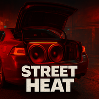 Street Heat (Full Catalog) by YGTheProducer