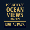 Ocean Views (Beat EP)