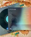 Vinyls