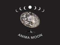 Anima Moon Fundraiser for Joel Kuennen Art Installation