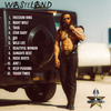 Wasteland - Vinyl