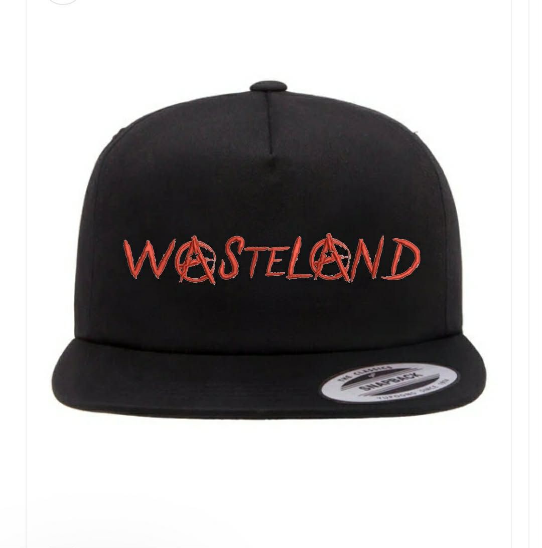 Embroidered Snap back hat