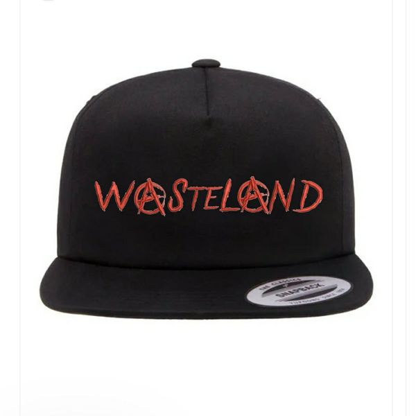 Embroidered Snap back hat