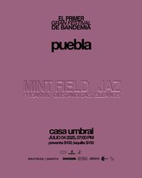 Mint Field en Puebla