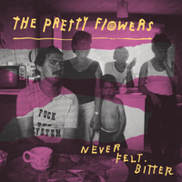 Never Felt Biter by The Pretty Flowers