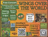 Wings Over The World - Music Street Band