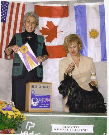 It was indeed an honor to be singled out as Best of Breed by International Judge JacquelineQuiros-Kubat of Argentina. I later asked her why she chose Kelton over such fierce competititon, she told me she loved his massive chest and solid body and attitude.
