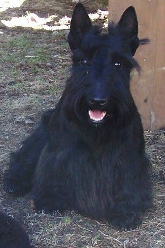 Kelton is showing off that famous smile .
