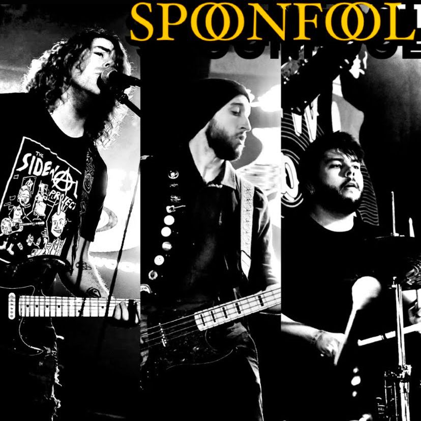 SpoonFool - Electronic Press Kit (EPK)
