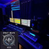 StrayBeats 0525 von wikingproduction - Songwriter - Programmer - Producer