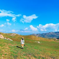 Hillside. by TonyCole