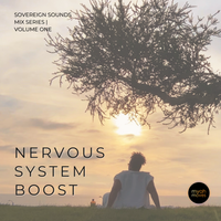 Nervous System Boost by Myah Moves