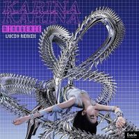 Minagerie (Lucio Remix) by Karina 