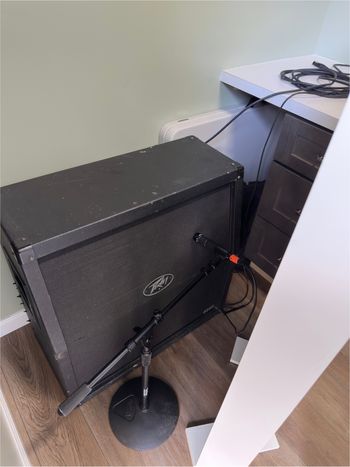 Peavey 4x12 cab with mic
