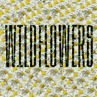 Wildflowers by Certainly Something