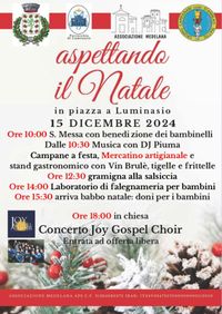 aspettando il Natale in piazza a Luminasio