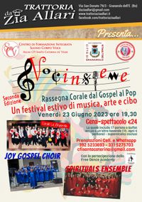 Voci insieme