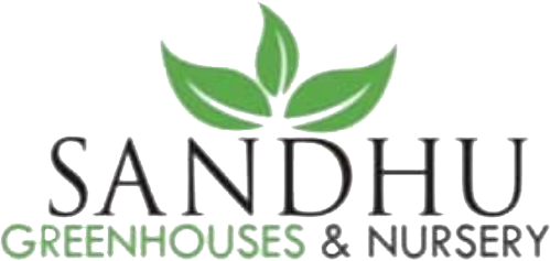 Sandhu Greenhouses & Nursery