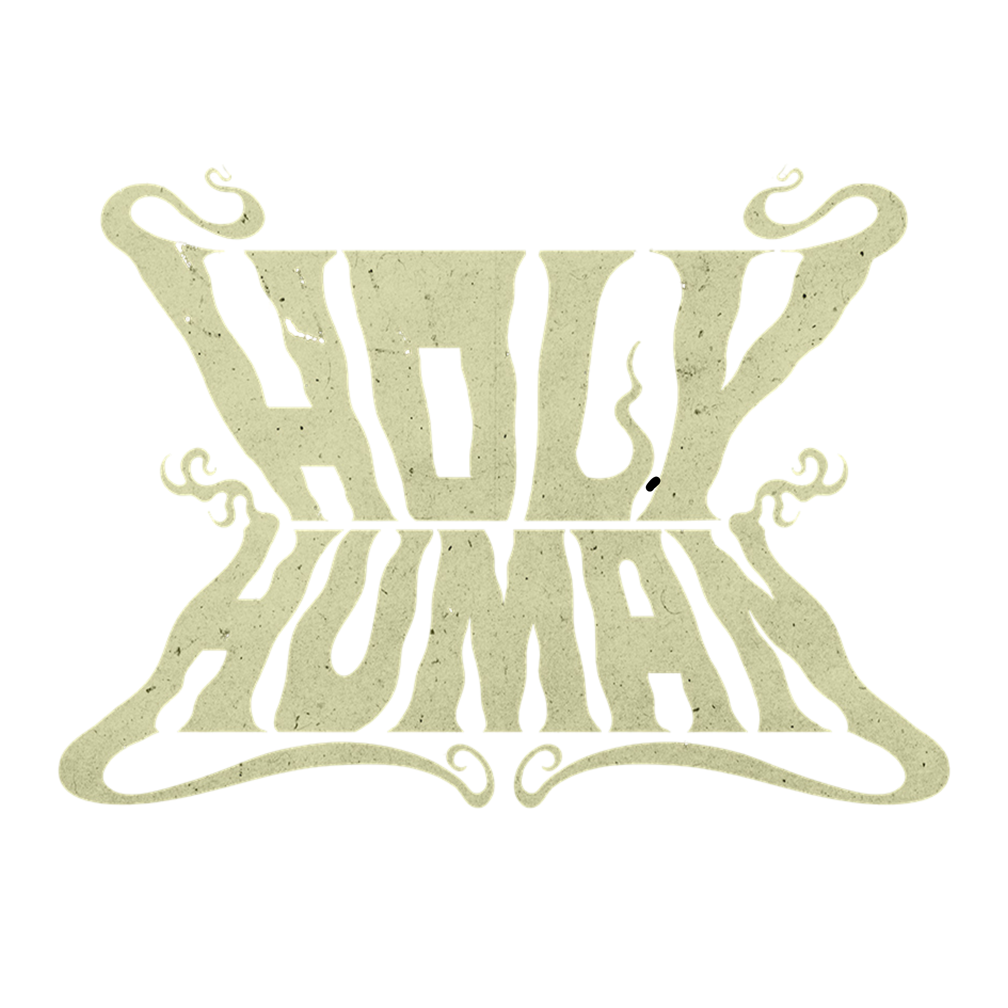 HOLY HUMAN