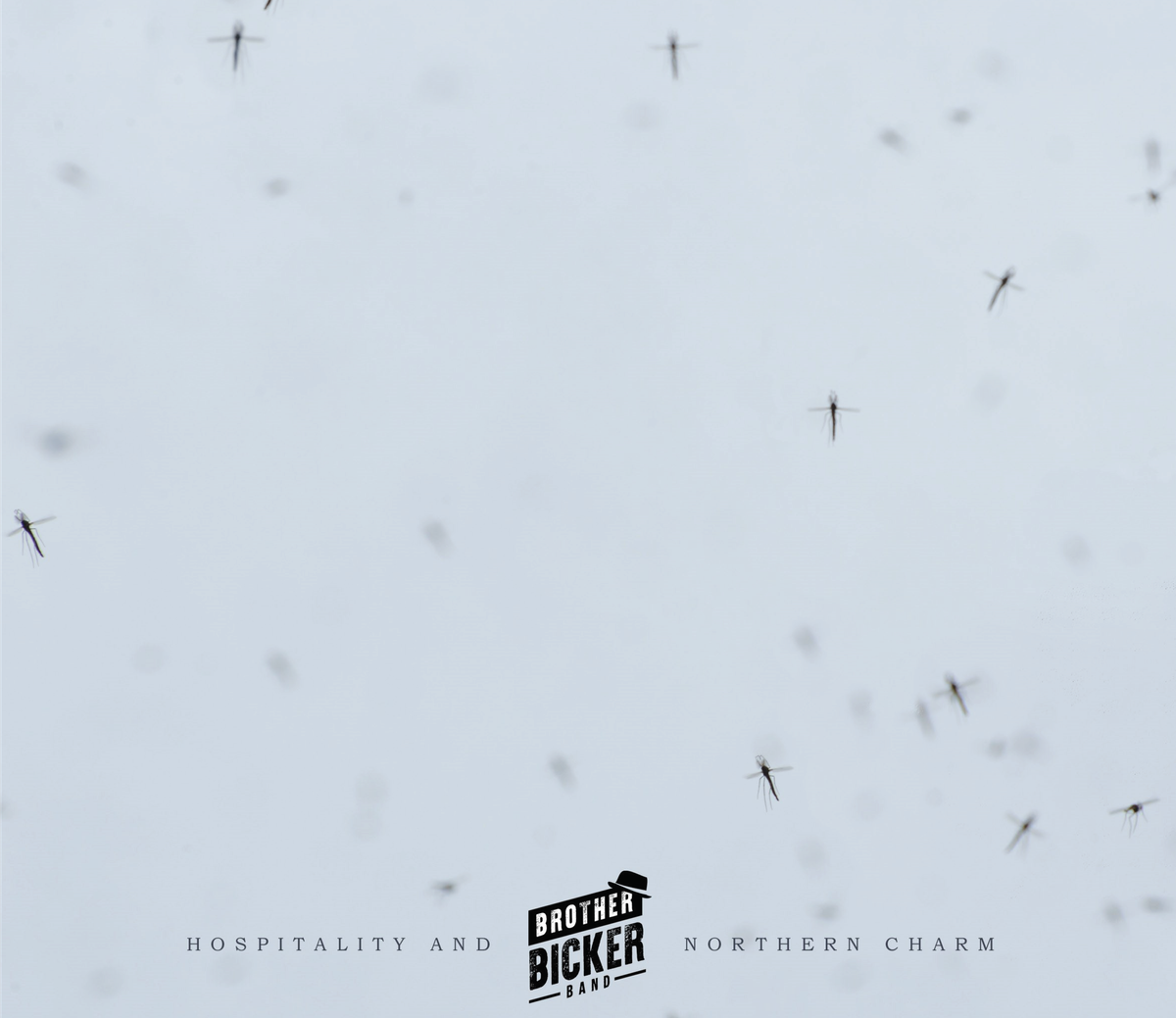 Hospitality and Northern Charm - CD