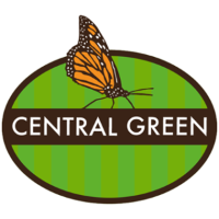 Central Green Park at LaCenterra