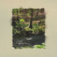 Humming by Green Ring