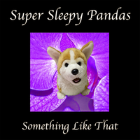 Something Like That by Super Sleepy Pandas