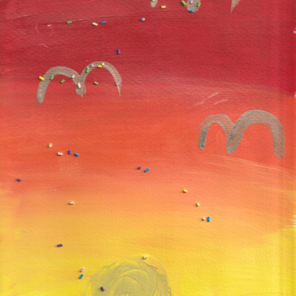 Sunset Birds
