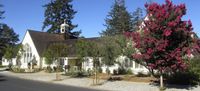 Squid Inc at Foothills Congregational Church