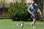 Whole Dog Wellness Coaching & Training