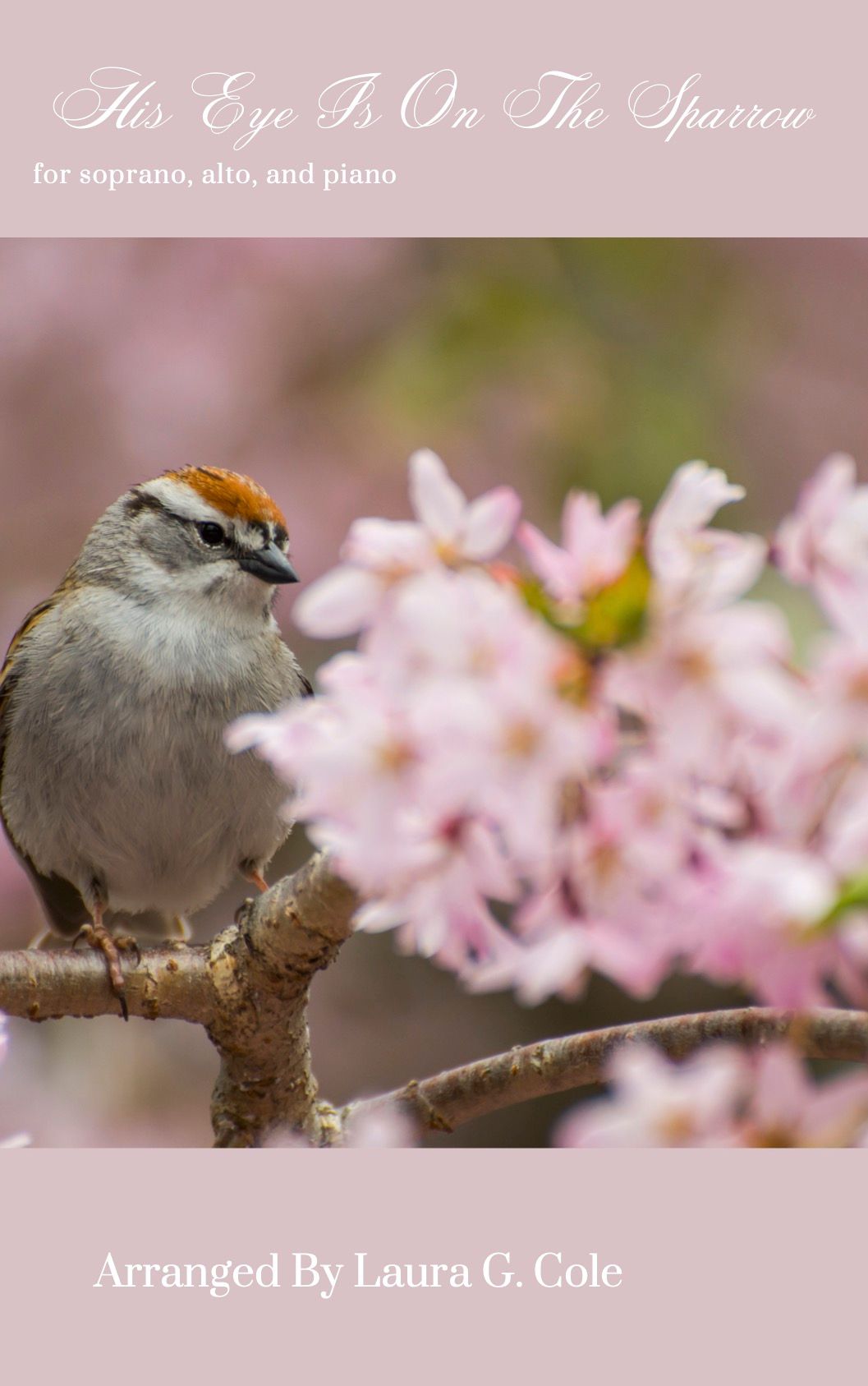 His Eye Is On The Sparrow (SA)
