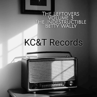 The Leftovers vol. 3  by Betty Wally 