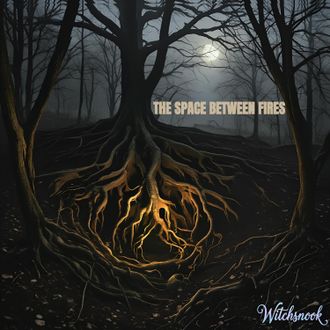 the space between fires album cover