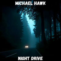 Night Drive by Michael Hawk