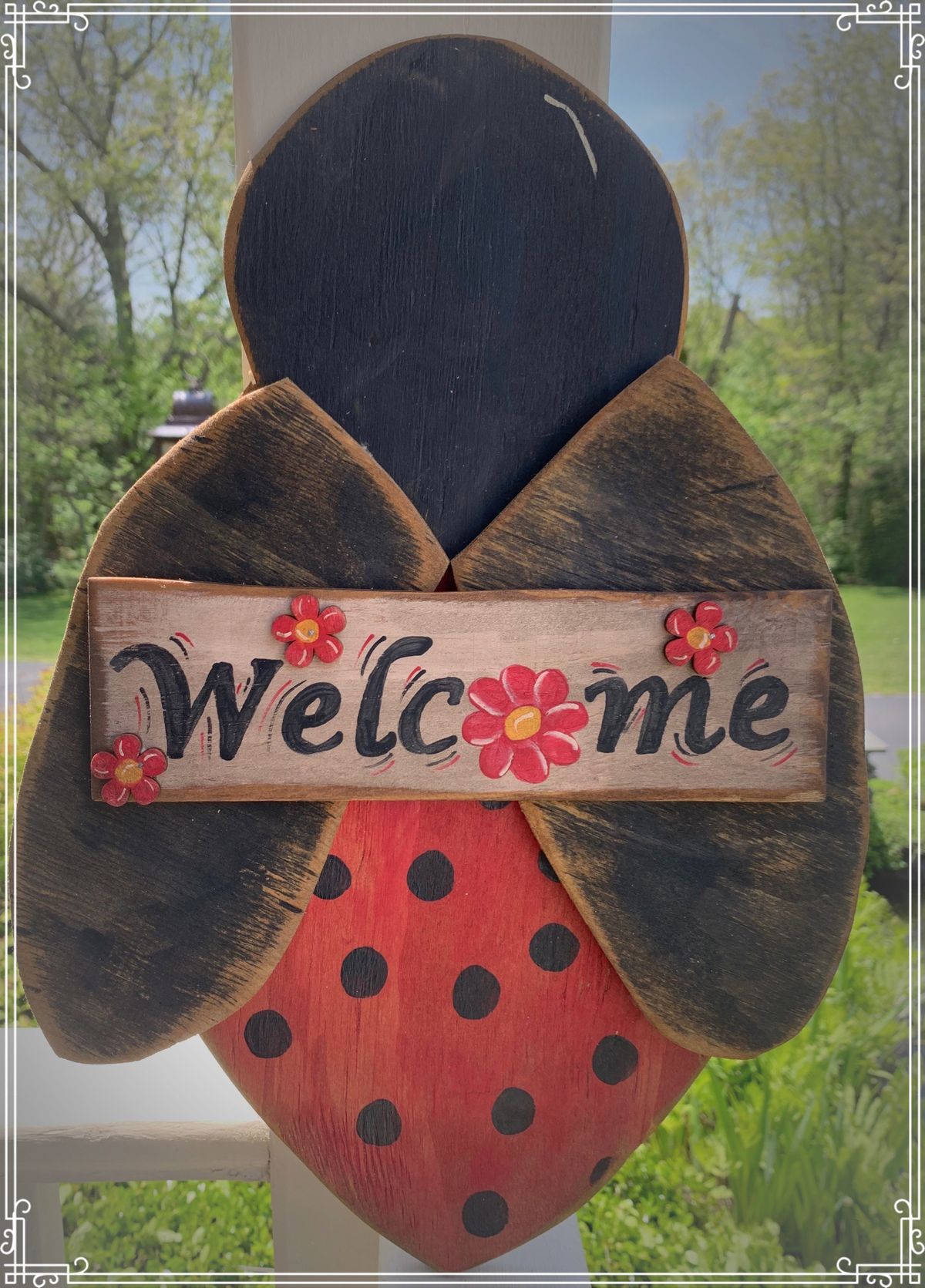 Lucy the Ladybug
