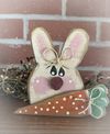Mini bunny