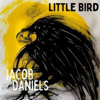 Little Bird by Jacob Daniels
