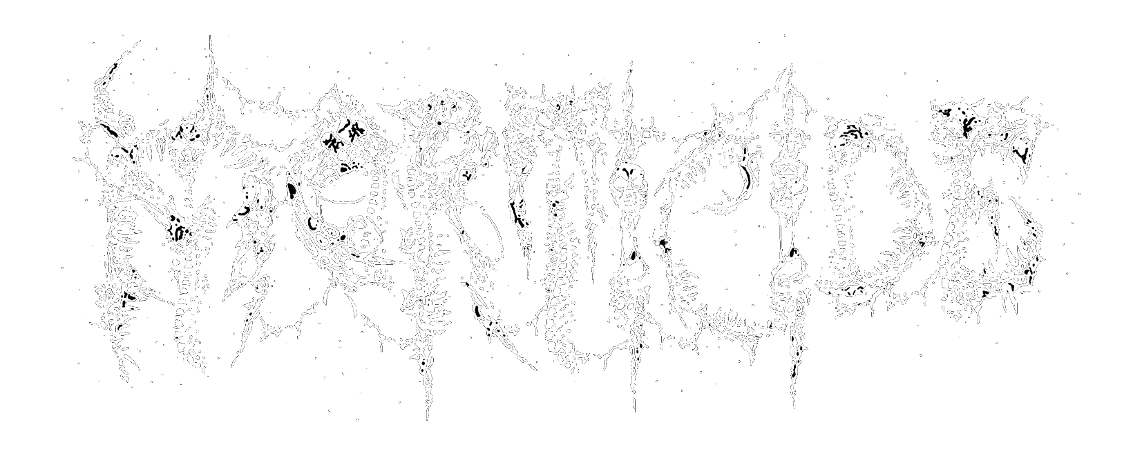 Morticide