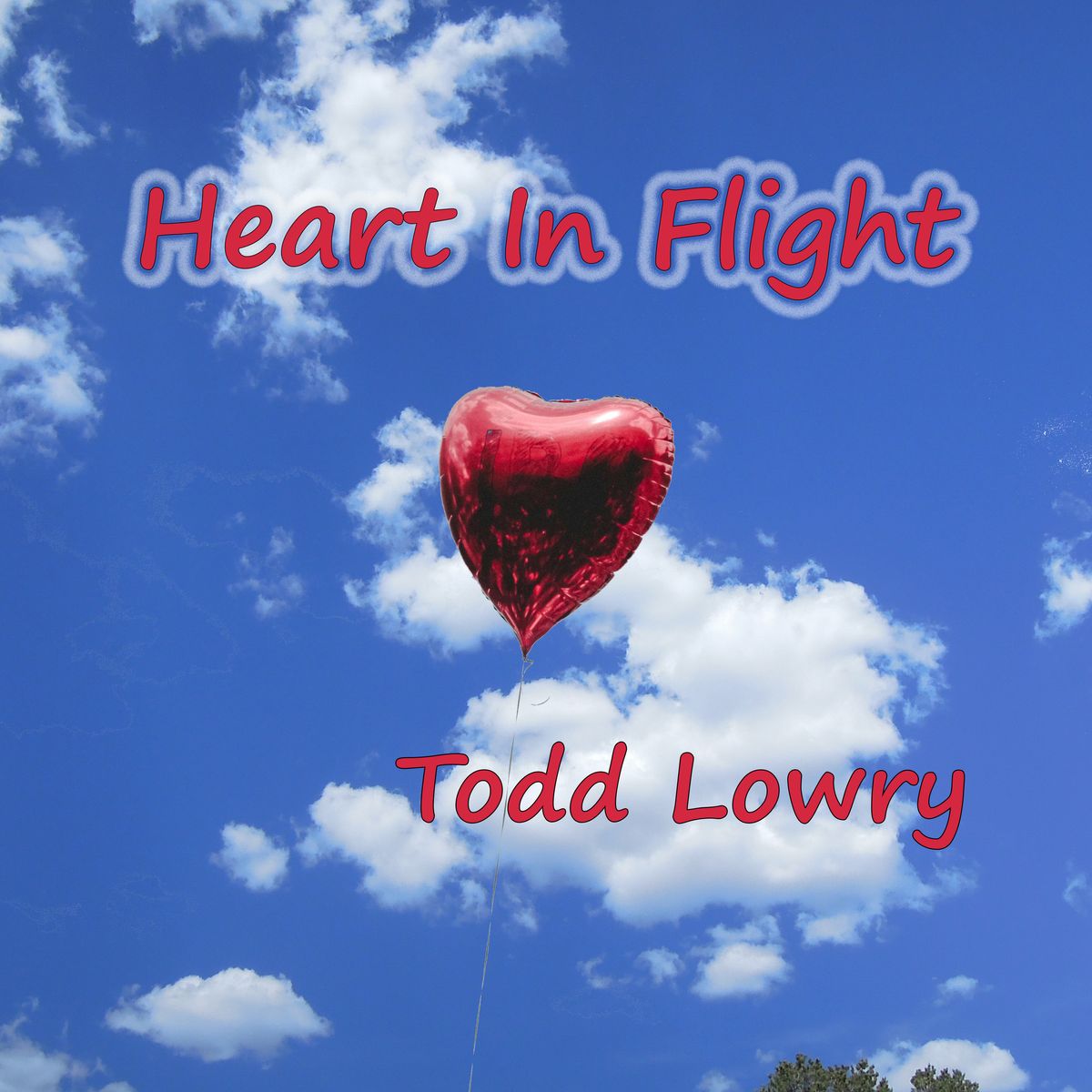 Heart In Flight - CD