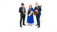Sanfona trio