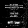STILL HURT, NEVER SOBER - Vinyl